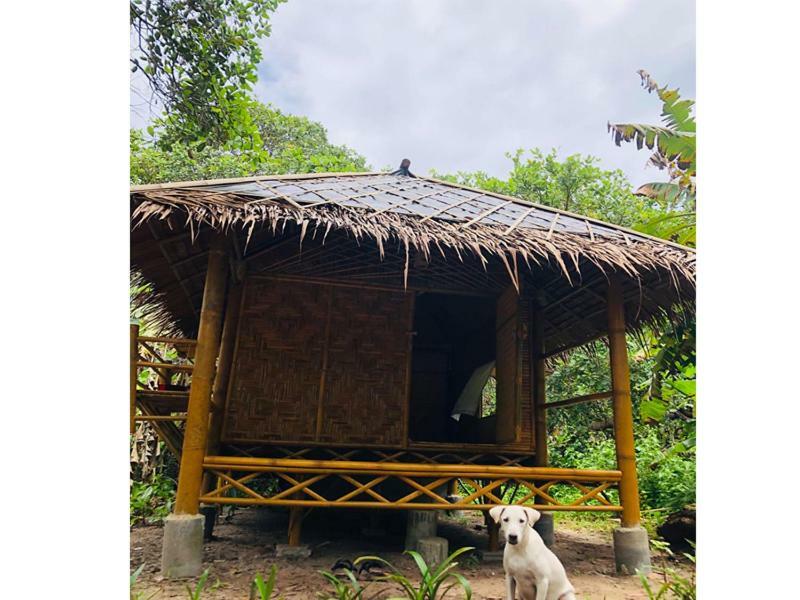 Chalee Tropicana Bungalow Koh Phayam Extérieur photo